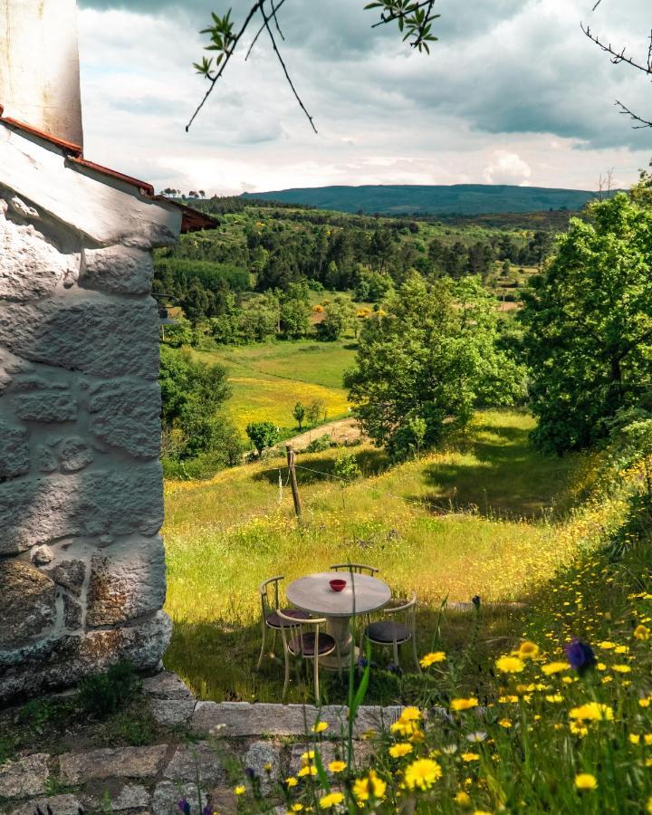 Casa Da Varzea - Serra Da Estrela Fornos de Algodres Exterior foto