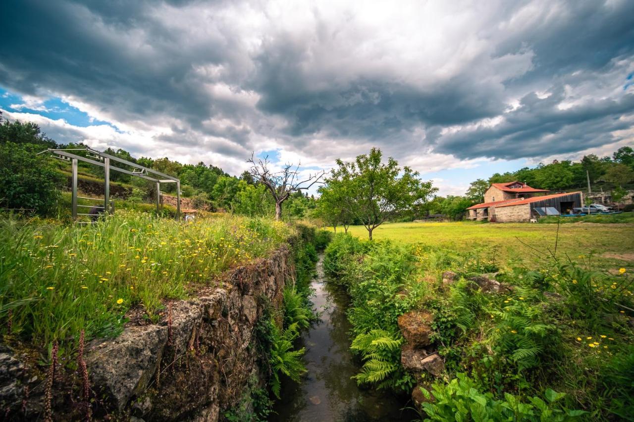 Casa Da Varzea - Serra Da Estrela Fornos de Algodres Exterior foto